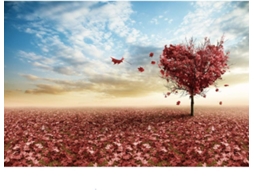 Quebra-cabeças 1000 Peças - Série Tranquil Maple Leaves Heart - Para Adultos (rosa)