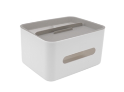 RNEMITERY Porta Pañuelos Plástico Rectangular - Portacontroles y Material de Oficina, Organizador para Sala y Despacho