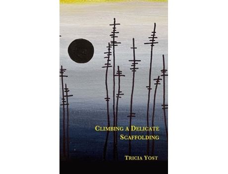 Livro Climbing a Delicate Scaffolding de Tricia Yost (Inglês)