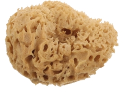 Esponja de banho bege natural, bola de espuma leve