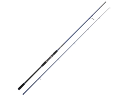 Cana Jigging Blue Line Shore Prateado 3.00 M / 40-120 Gcinnetic