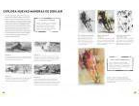 Livro Innovaciones en pastel : más de 60 técnicas y ejercicios creativos para pintar con pastel de Dawn Emerson (Espanhol)