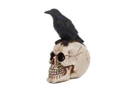 figura de Corvo em Cabeça de Caveira Decorativa de Halloween para Casa em Resina Fria