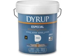 Tinta Aquosa Especial DYRUP para Fachadas, Muros, Paredes e Tectos Interiores (Branco - 15 L)