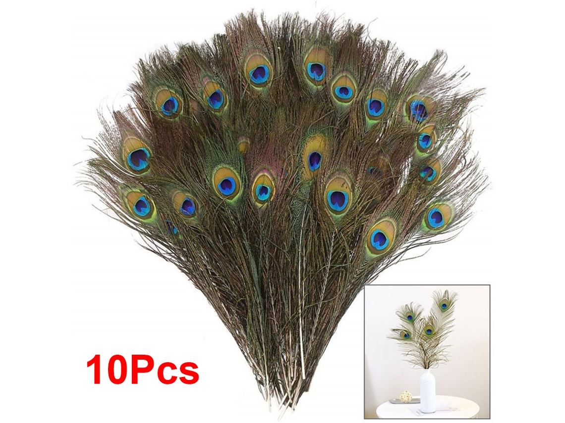 Conjunto de 10 Penas de Pavão Naturais LAXISCREED