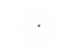 1 Peça de Acessório de Teia de Aranha para Decoração de Halloween ALLINLESS