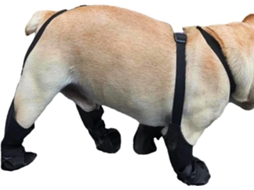 Botas Cães Com Tiras, Botas Impermeáveis E Antiderrapantes