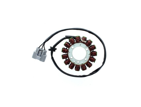 Alternador de motocicleta adaptável original Electrosport Kawasaki