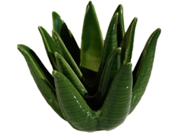 Nuobesty Prato Para Joias Em Cerâmica Em Formato De Cacto, Bandeja Decorativa Branca Para Anéis, 1 Peça