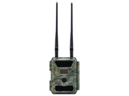 Pni Câmera Hunting 400C 1080P 4G Lte com Visão Noturna