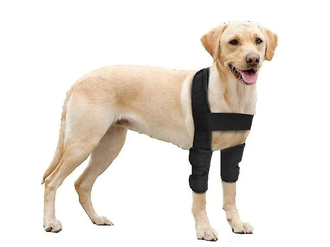 2026 protector de Codo Respirável para Cães com Suporte para Artrite, Displasia e Feridas no Codo e Ombro