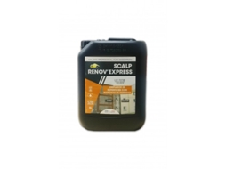 Renov Express Removedor de Moldes 5 Lt