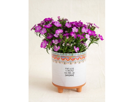 Vaso Artesanal Sunshine