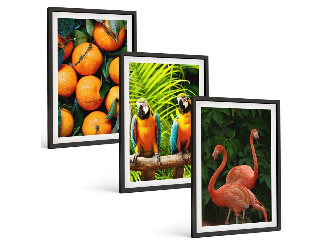 Pinturas Murais Modernas Detalhes De Frutas Tropicais Moldura Preta Imagens Para Um Quarto Infantil Espelharte (3 Piezas De 40x60 Cm)