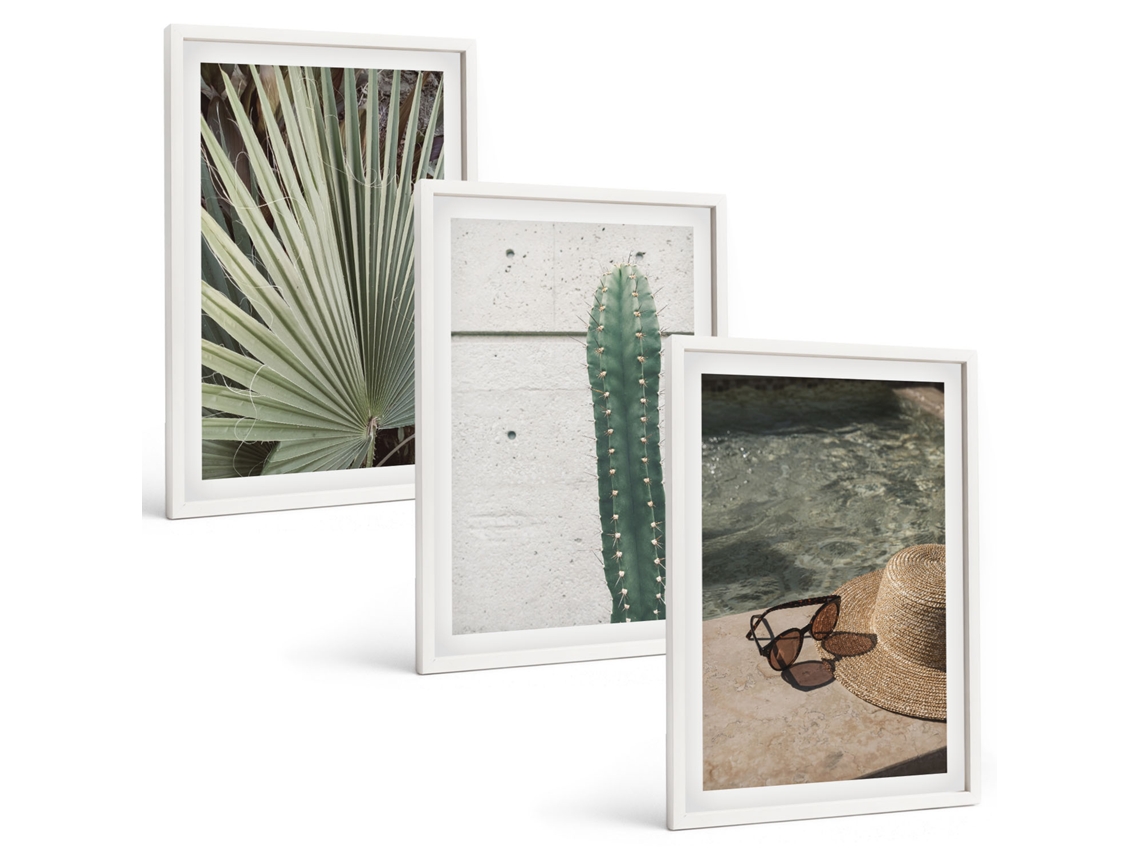 Conjunto De Pinturas Acessórios Para Plantas Tropicais Moldura Branca Pinturas De Quarto Espelharte (3 Piezas De 40x60 Cm)