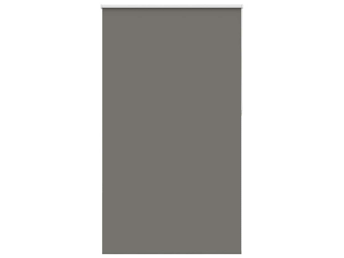 Roller Blind, Roller Blinds Vidaxl Cinzeto Poliéster (n/a)