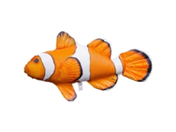 GABY The Ocellaris Clownfish Medium