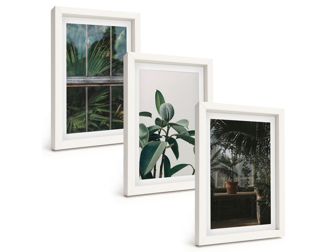 Conjunto De Quadros Com Moldura Folhas Verdes Na Janela, Plantas Moldura Branca Fotos Para O Corredor Espelharte (3 Peças 20x30 Cm)