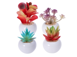 4 Unidades de Plantas de Simulação ALLINLESS