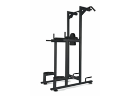 Power Tower Toorx Profissional Wbx 2800