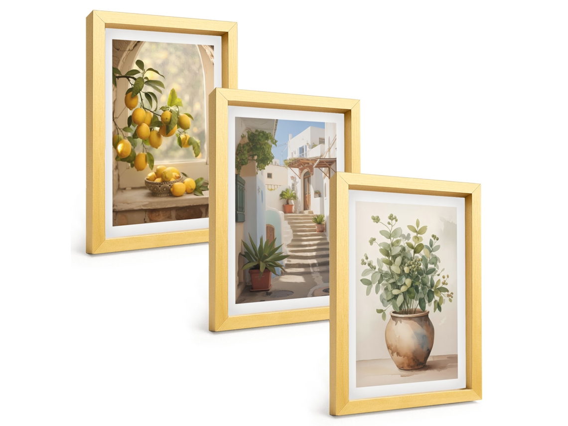 Composição De Quadros Limões Em Um Vaso, Plantas Espelharte (3 Peças 20x30 Cm)