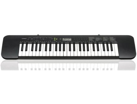 Teclado  Ctk-240 (49 Teclas - 100 Sons)