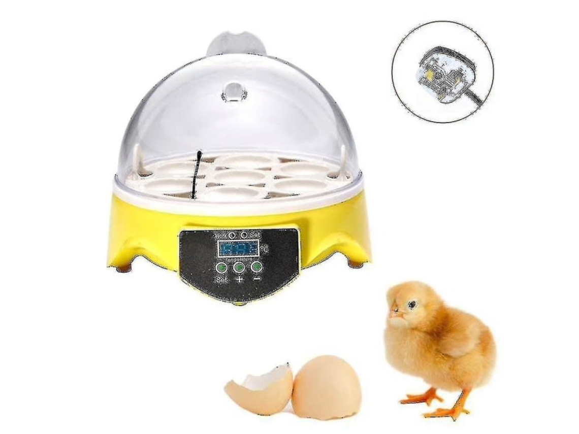 Incubadora Automática Para Ovos De Aves, Com Controle De Temperatura, Capacidade Para 7 Ovos, Modelo Z, Hg