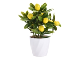 Laxiscreed Vaso De Flores De 24cm Com Embalagem De 10x10x20cm Para Decorações E Arranjos