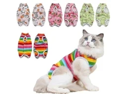 Fato De Recuperação Para Gato Anti Lambedura Após Cirurgia Substitui E Collar E Cone