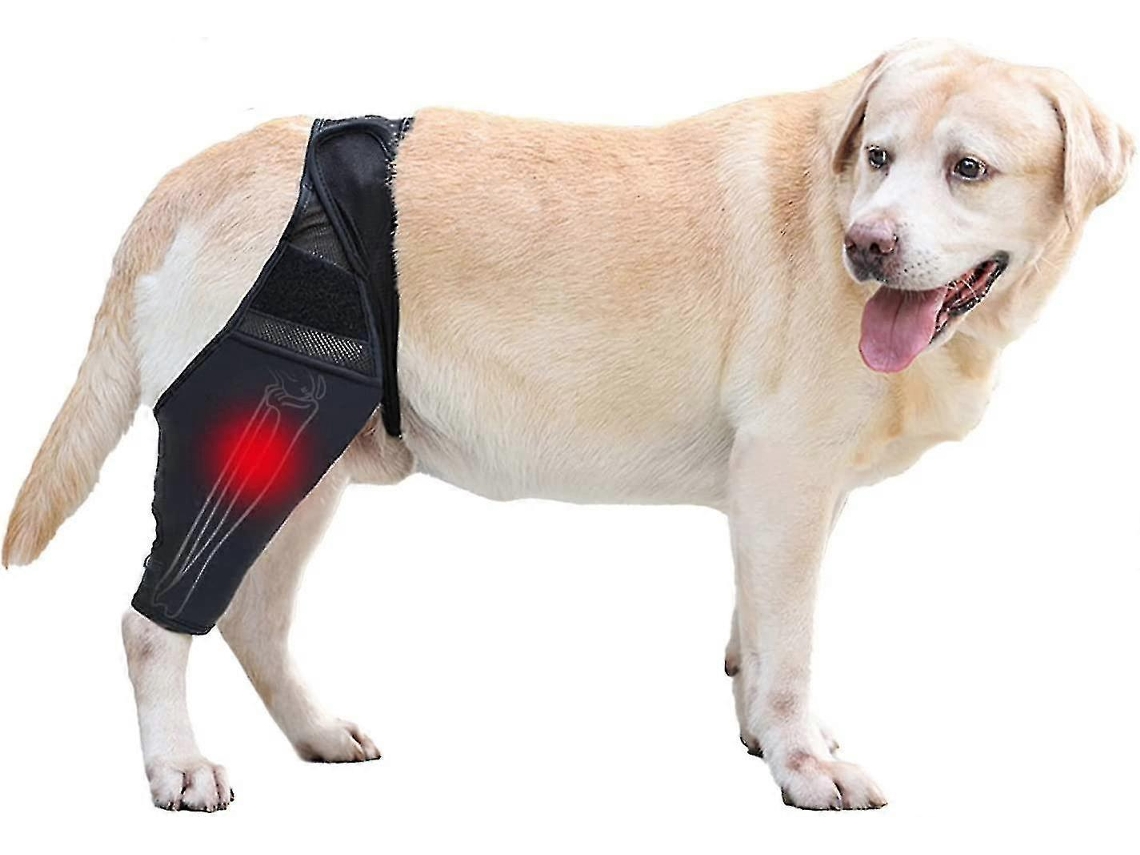Joelheira Ajustável Para Pata Traseira De Cães Joelheiras Para Cães Para Recuperação De Luxação Patelar S Aquaforge