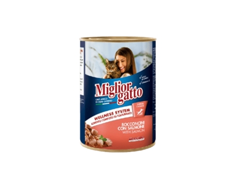 Miglior Gatto Salmão Morando