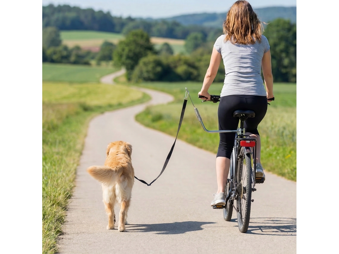 Bicycle Leash For Dogs With Shock Absorbers, Adjustable Strap, Removable Quick Release For Training, Jogging, Silver + Black