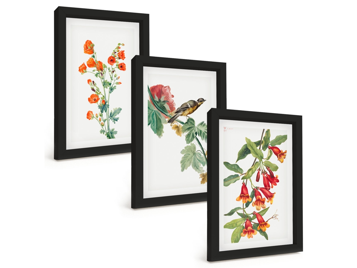 Quadros Decorativos Para Paredeflores E Pássaros Pintados Moldura Preta Quadros Para O Escritório Espelharte (3 Peças 20x30 Cm)