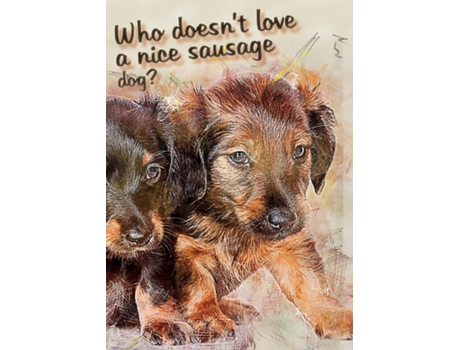 Livro Who Doesnt Like A Nice Sausage Dog? De Vivienne Ainslie (inglês)