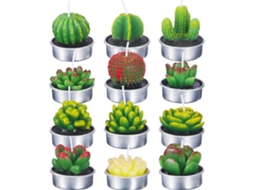 12 Velas Plantas Suculentas Decoração Presentes