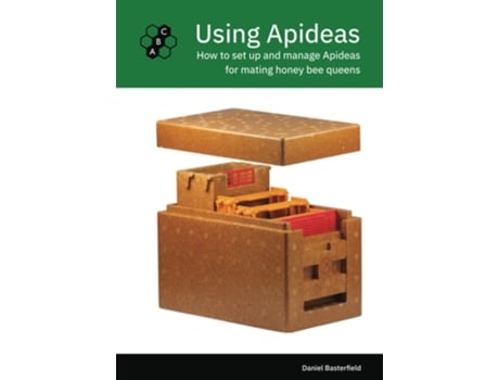 Livro Using Apideas De Daniel Basterfield (inglês - Capa Dura)