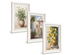 Conjunto De Pinturas Plantas, Plantas Em Vasos, Limões, Rua Moldura Branca Quadros Para A Sala De Estar Espelharte (3 Peças 20x30 Cm)