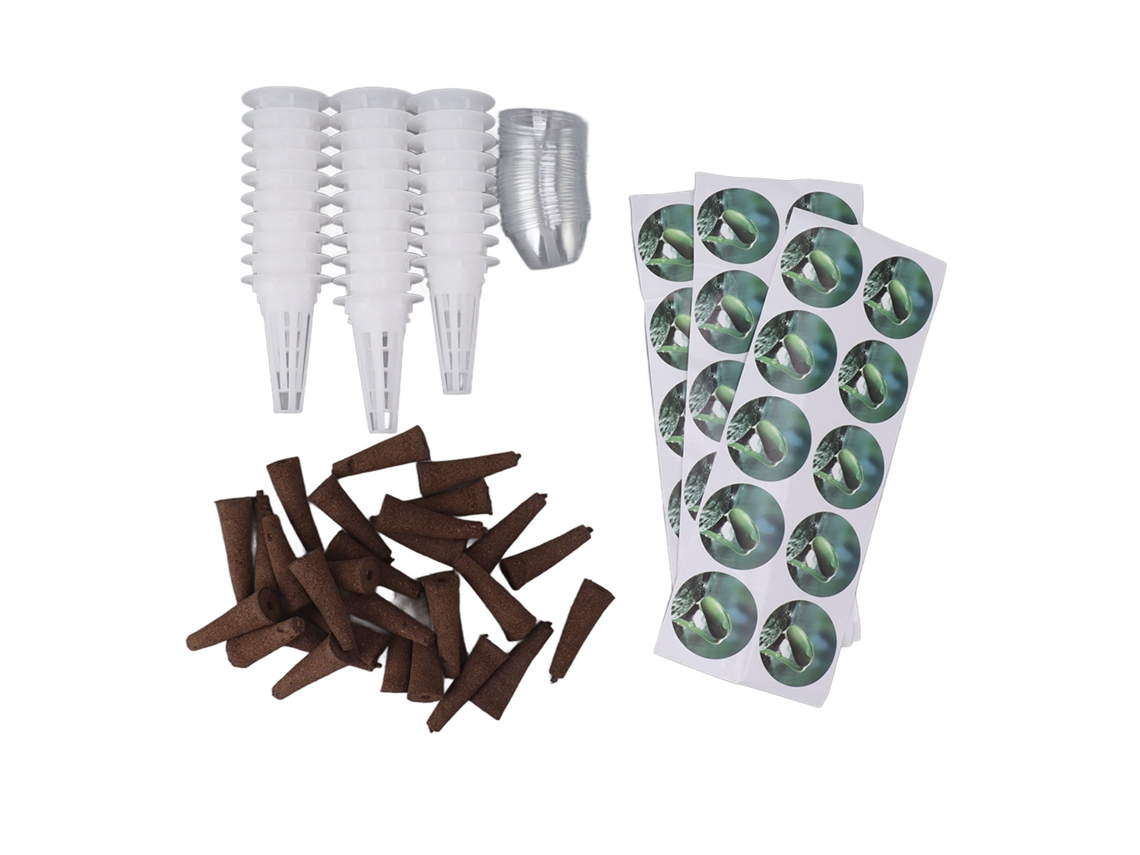 Kit de Iniciação de Sementes Hidropônico 30 Peças | S/MARCA