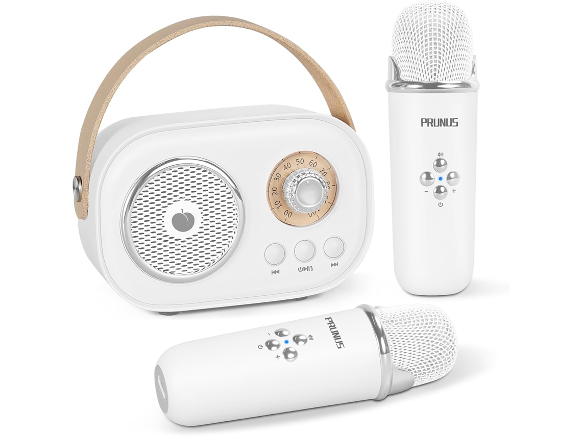 Prunus C20 Mini Karaokê Portátil Com Alto Falante Bluetooth, Microfone Sem Fio E 6 Modos De Som Para Aquaforge (modelo Mais Recente De 2025)