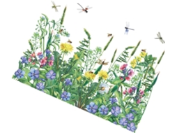 De 2 Adesivos De Parede Decorativos Flores Tropicais E Libélulas Em Pvc, 30x90 Cm. Adesivos De Parede Elegantes Para Gokoco