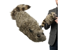 Truque De Mágica Com Guaxinim Pelúcia - Animal Mola 9 Movimentos,
