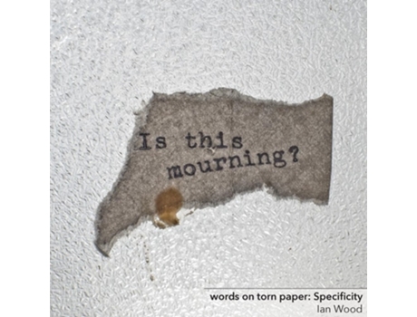 Livro Words On Torn Paper Specificity De Ian Wood (inglês)