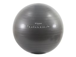 Bola de Treino STANNO