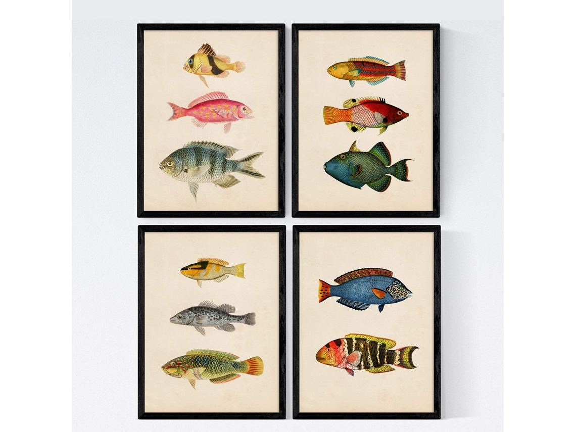 Conjunto de Pósters NACNIC (21 x 29.7 cm)
