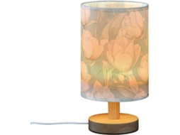 Luminária de mesa LED verde transparente Frodotgv Com Design Abajur exuberante com porta USB para meninas