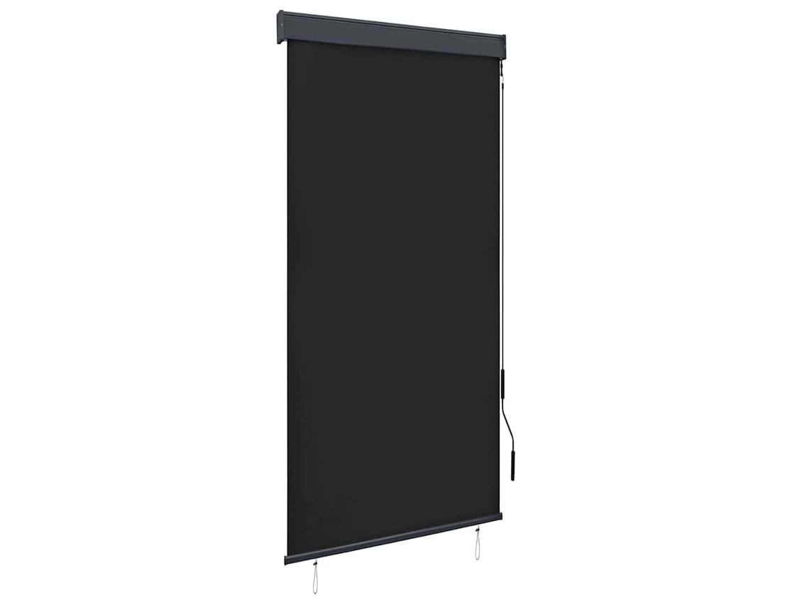 Vidaxl Estore De Rolo Para Exterior 100x250 Cm Antracite