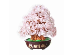 Laxiscreed Árvore Bonsai Decorativa Para Sorte E Prosperidade Em Casa