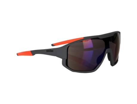 If 25 304 Gris Ironman