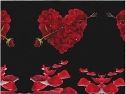 Colcha de Flanela Macia e Aconchegante em Formato Coração com Estampa Floral Pétalas 203 2 X 152 4 Cm, Macio,