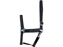 Cabresto para cavalos Harry's Horse Economy